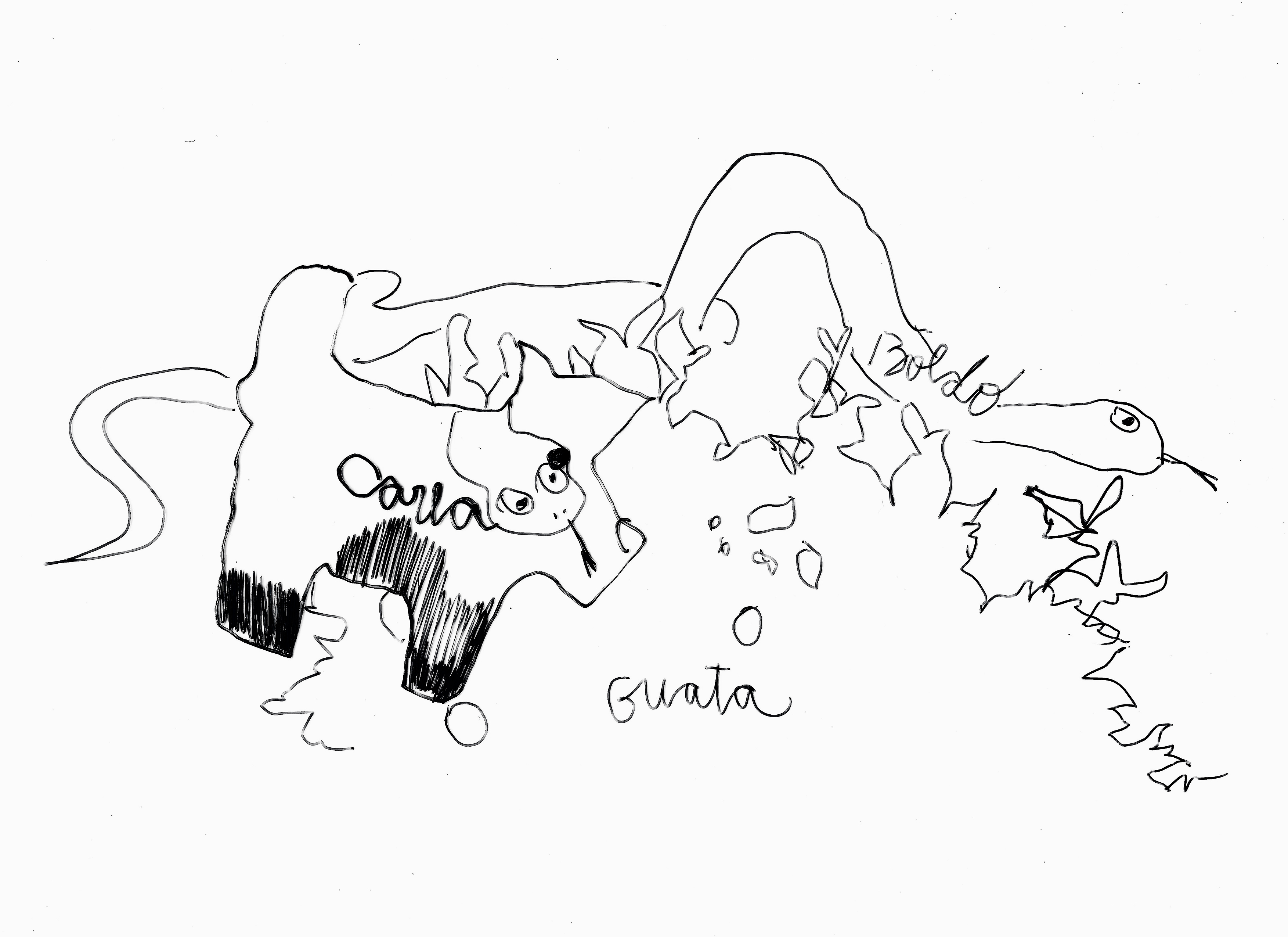 Example 4